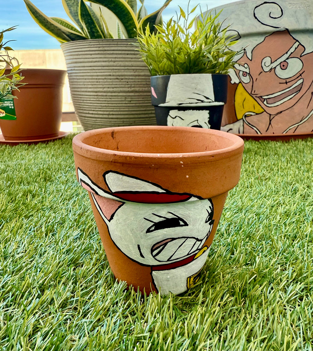 AnimexPlants TerraCotta Pots