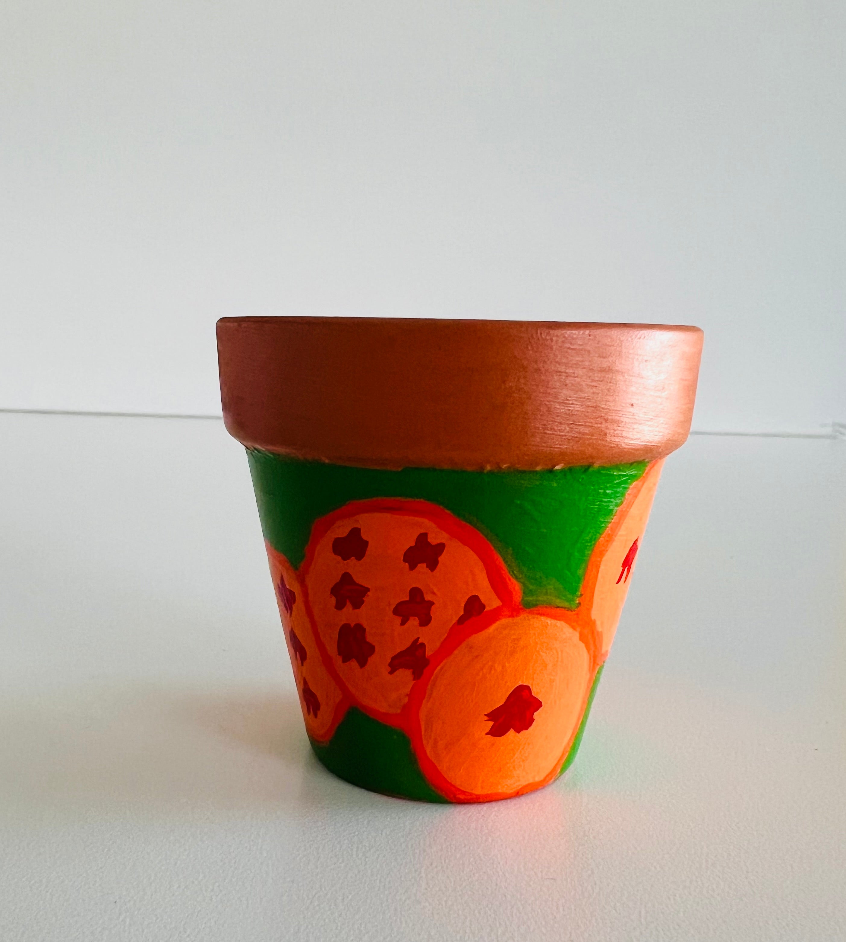 AnimexPlants TerraCotta Pots