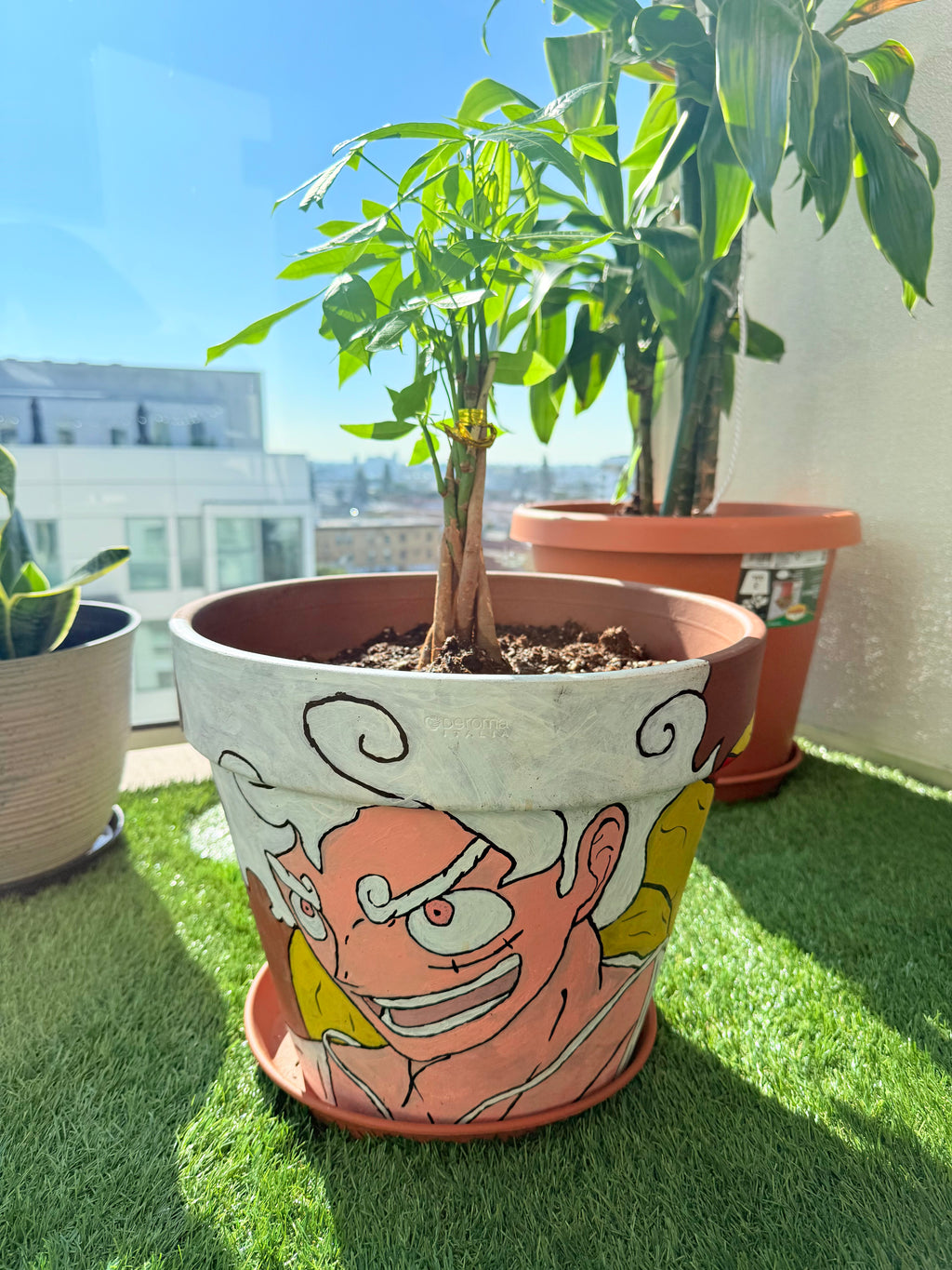 AnimexPlants TerraCotta Pots