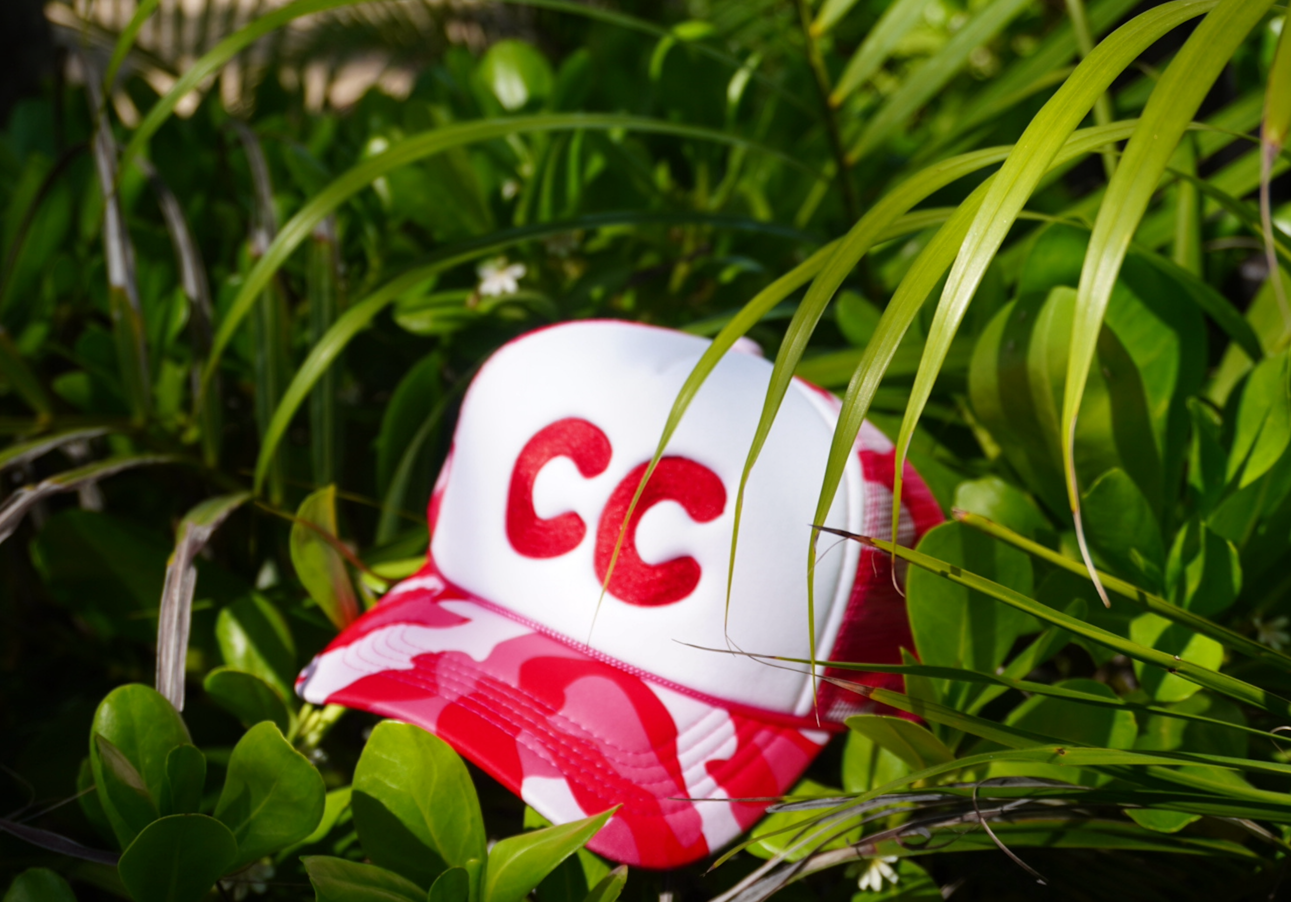 CC hats