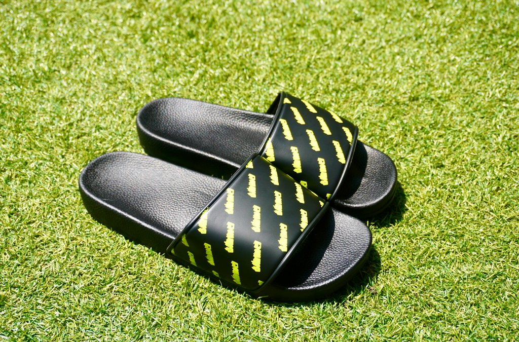 Davinci Slides