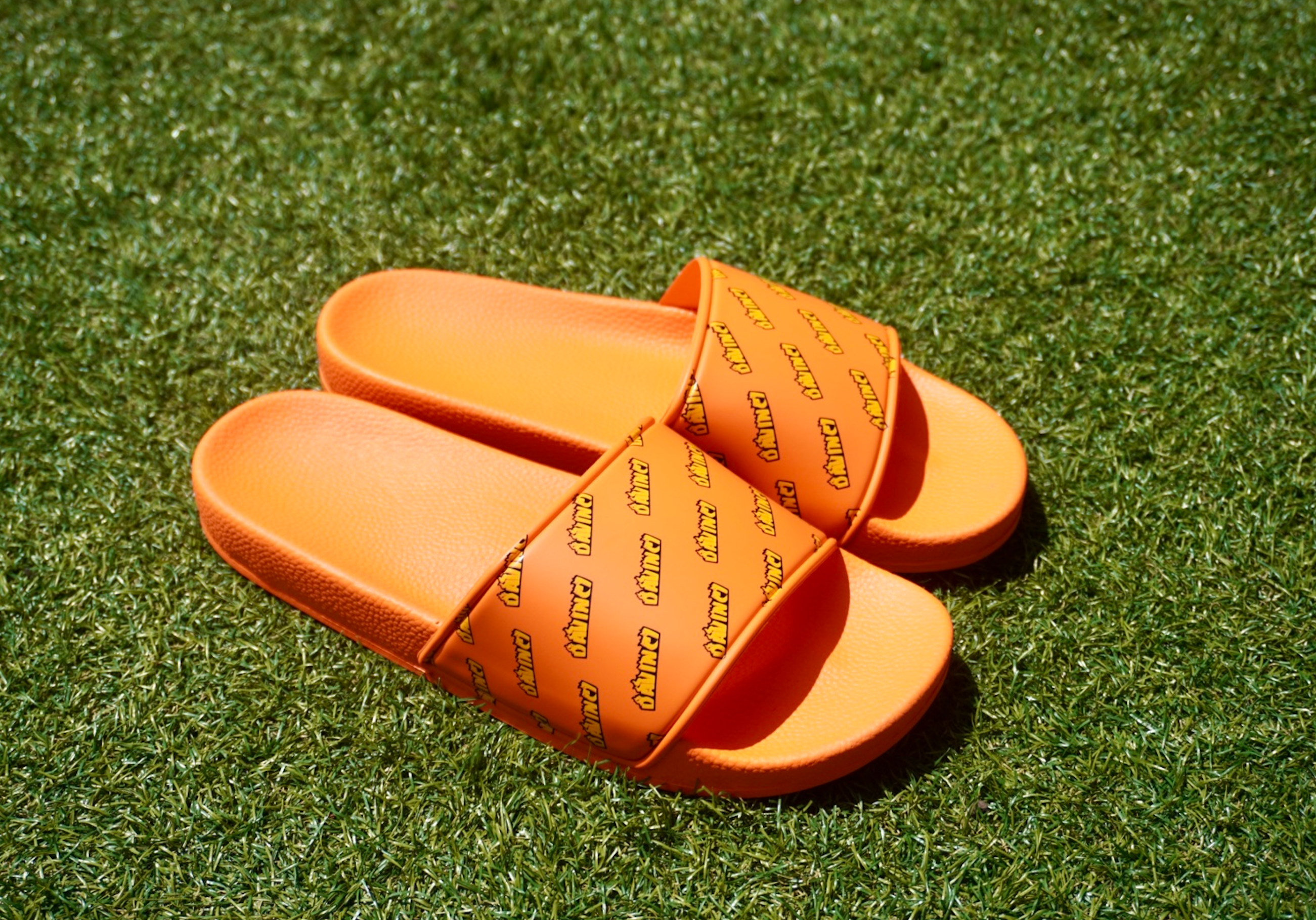 Davinci Slides