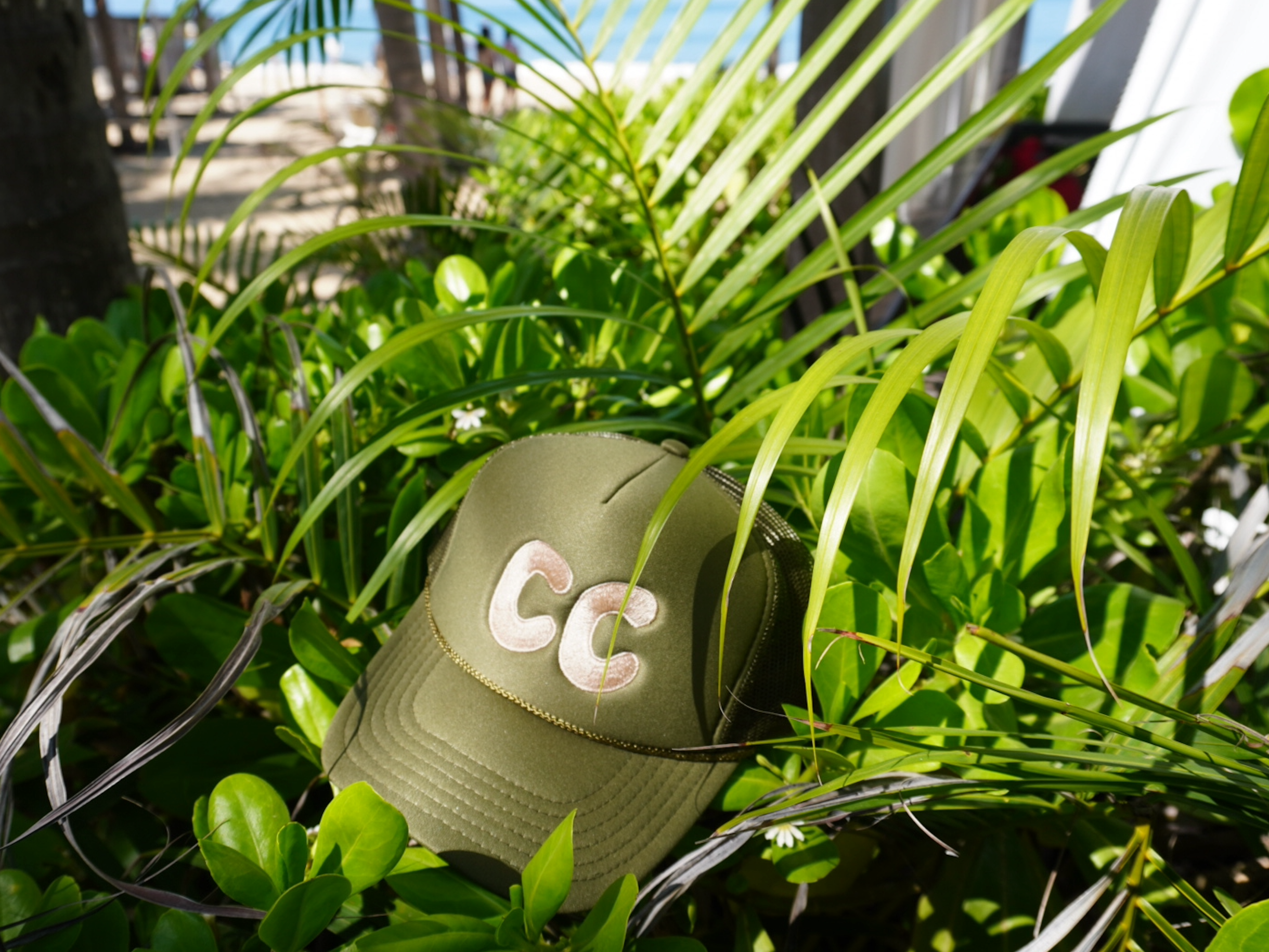 CC hats